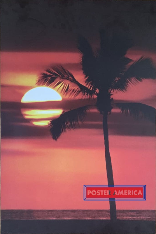 Palm Tree Sunset Maldive Evening Tropical Setting Poster 2005 24 X 36 With Sun In Background