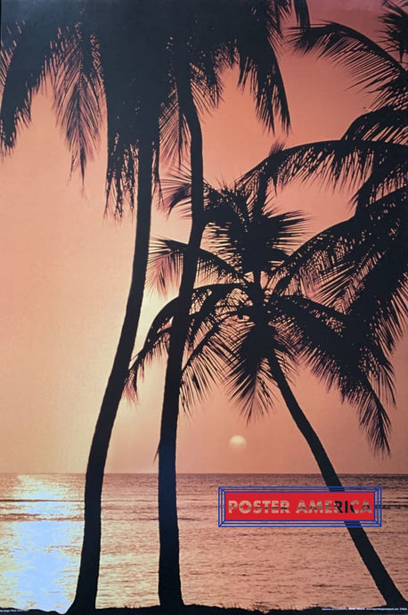 Palm Trees With Sunset Vintage 24 X 36 Poster