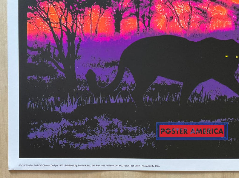 Load image into Gallery viewer, Panther Pride Black Light Poster 24 X 36

