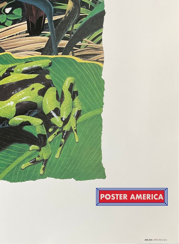 Load image into Gallery viewer, Xxx - 002 Posters Prints &amp; Visual Artwork
