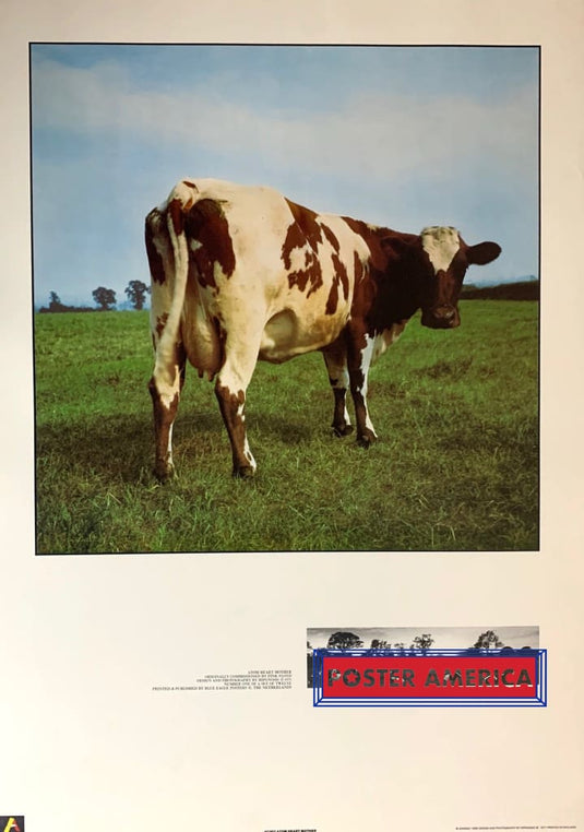 Pink Floyd Atom Heart Mother 1986 Vintage Poster 23.5 X 33 Vintage Poster