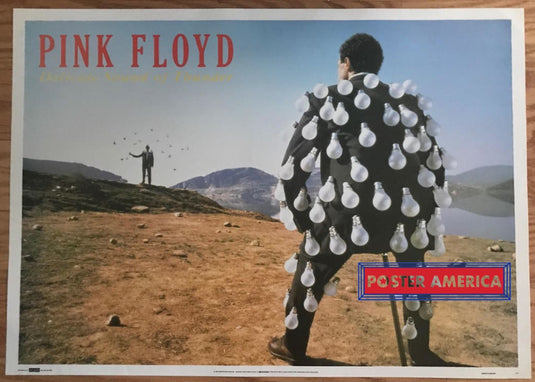 Pink Floyd Delicate Sound Of Thunder Poster 25 X 35 Vintage Poster