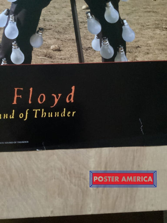Pink Floyd Delicate Sound Of Thunder Vintage 1989 Poster 23.5 X 34.5 Vintage Poster