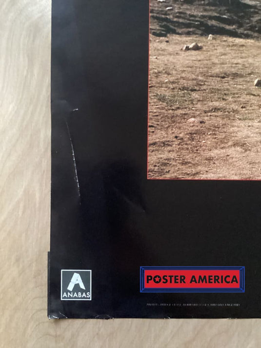 Pink Floyd Delicate Sound Of Thunder Vintage 1989 Poster 23.5 X 34.5 Vintage Poster
