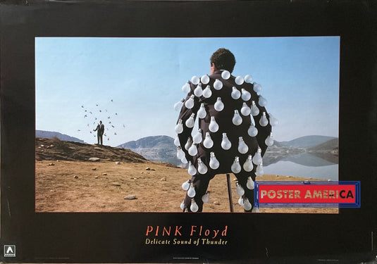 Pink Floyd Delicate Sound Of Thunder Vintage 1989 Poster 23.5 X 34.5 Vintage Poster