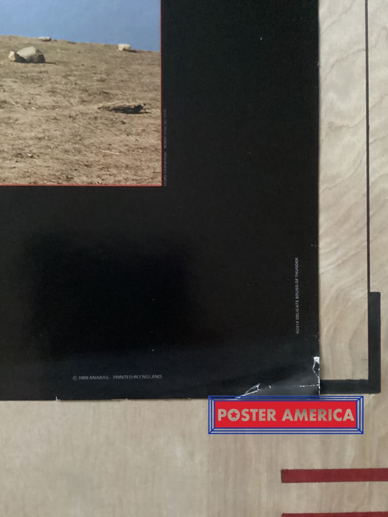 Load image into Gallery viewer, Pink Floyd Delicate Sound Of Thunder Vintage 1989 Poster 23.5 X 34.5 Vintage Poster
