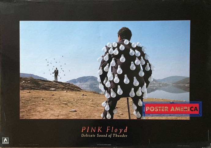 Pink Floyd Delicate Sound Of Thunder Vintage 1989 Poster 23.5 X 34.5 Vintage Poster