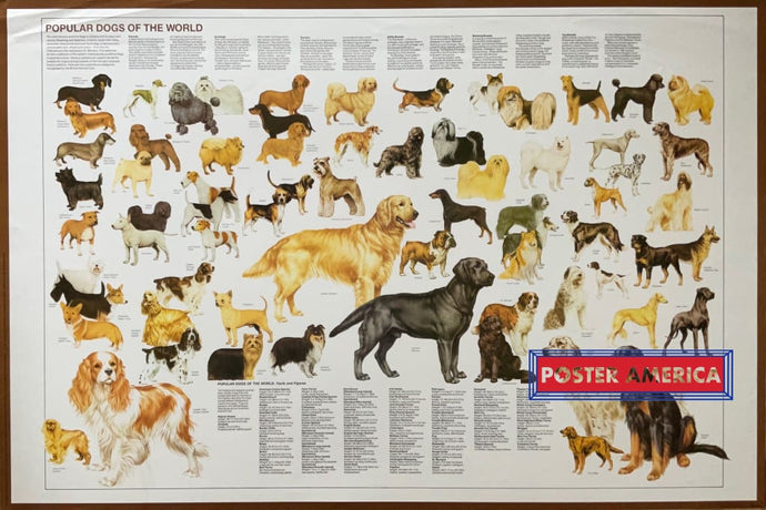 Popular Dogs Of The World Poster 24.5 X 36.5
