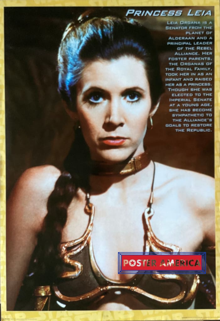 Load image into Gallery viewer, Princess Leia With Description Of Character Vintage 1998 Poster 24 X 35
