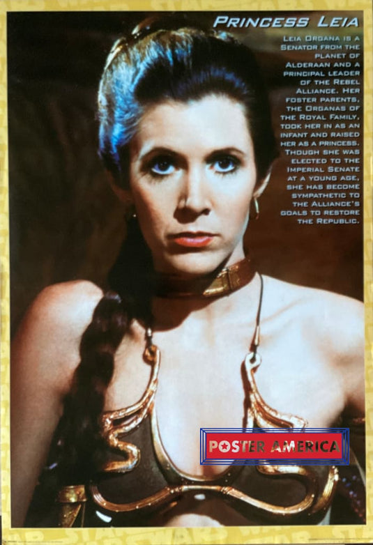 Princess Leia With Description Of Character Vintage 1998 Poster 24 X 35