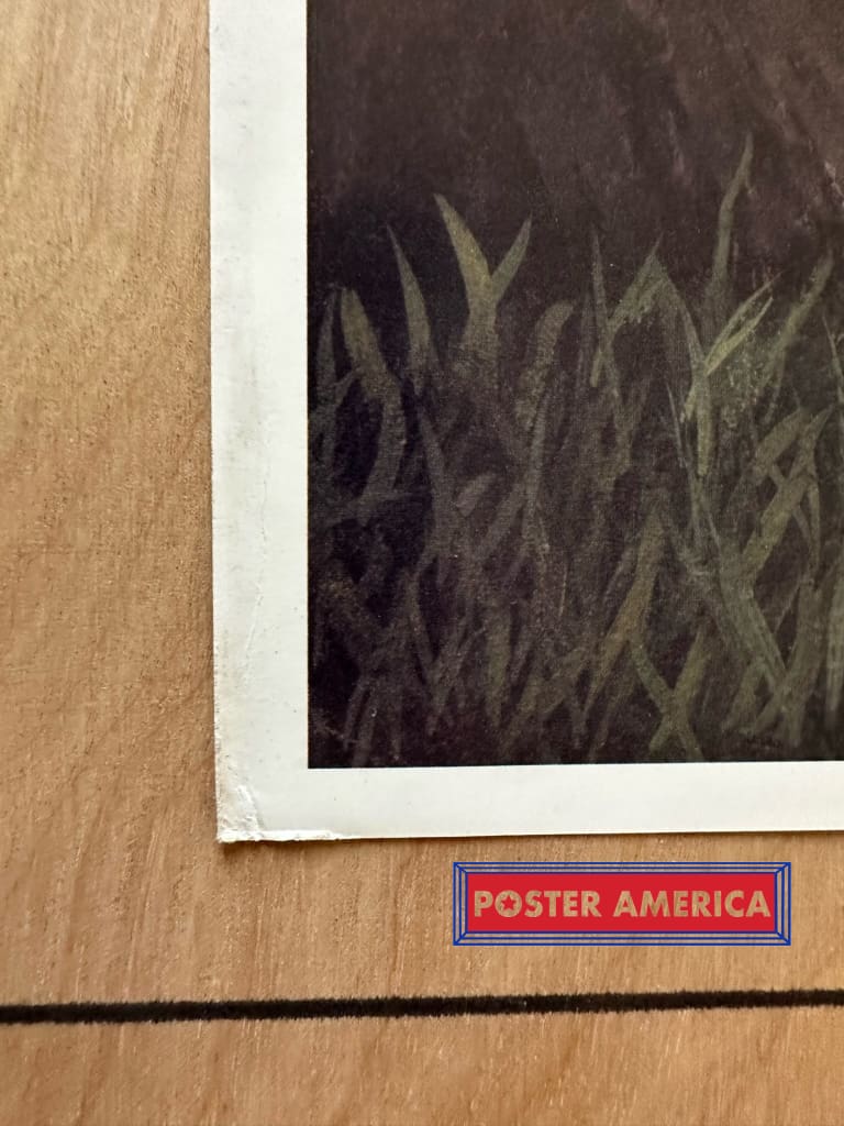 Load image into Gallery viewer, R.c. Carter One Fine Morning Southern Print 23 X 29 Poster
