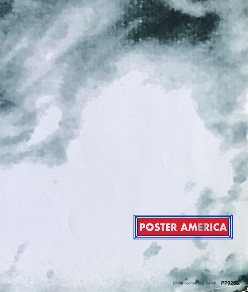 Load image into Gallery viewer, Rage Against The Machine Burning Monk Poster 24 X 34
