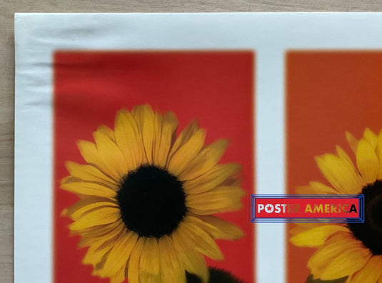 Rainbow Sunflower Vintage 2002 Photography Slim Print 12 X 36