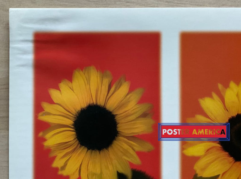 Load image into Gallery viewer, Rainbow Sunflower Vintage 2002 Photography Slim Print 12 X 36

