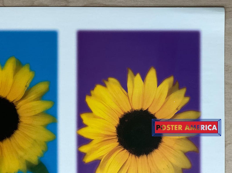Load image into Gallery viewer, Rainbow Sunflower Vintage 2002 Photography Slim Print 12 X 36
