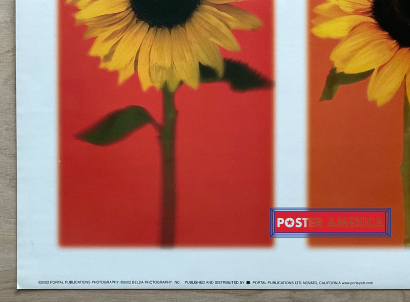 Load image into Gallery viewer, Rainbow Sunflower Vintage 2002 Photography Slim Print 12 X 36
