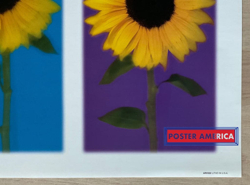Load image into Gallery viewer, Rainbow Sunflower Vintage 2002 Photography Slim Print 12 X 36

