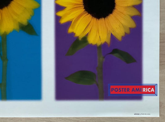 Rainbow Sunflower Vintage 2002 Photography Slim Print 12 X 36