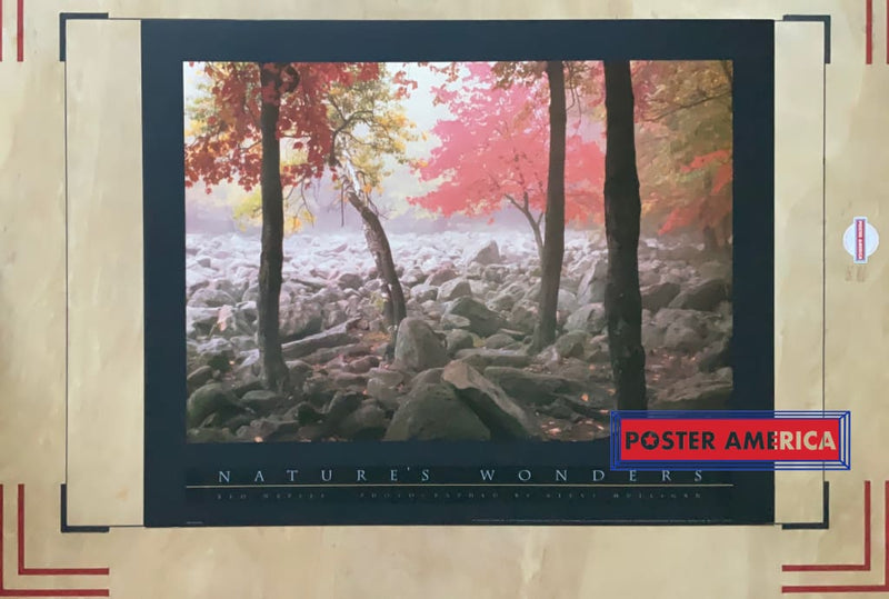 Load image into Gallery viewer, Red Maples By Steve Mulligan Natures Wonders Series 1993 Art Poster 24 X 30
