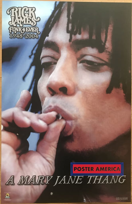 Rick James Tribute Poster Vintage 2004 22.5 X 34.5