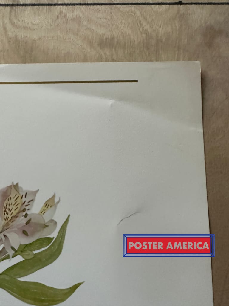 Load image into Gallery viewer, Robin Eschner Camp Paper Glasses Vintage 1983 Fine Art Print 20 X 28 Vintage Fine Art Print
