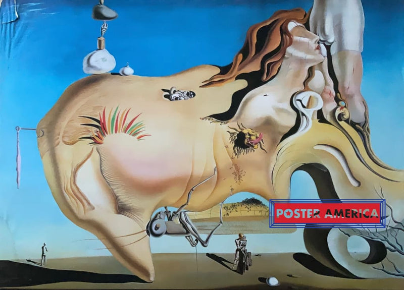 Load image into Gallery viewer, Salvador Dali Grand Masturbateur Vintage Poster 24 X 35
