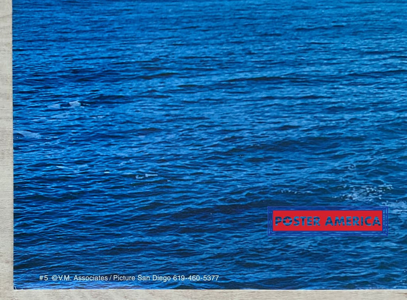 Load image into Gallery viewer, San Diego Ocean Beach Pier Vintage Photography Slim Print Poster 11 X 28
