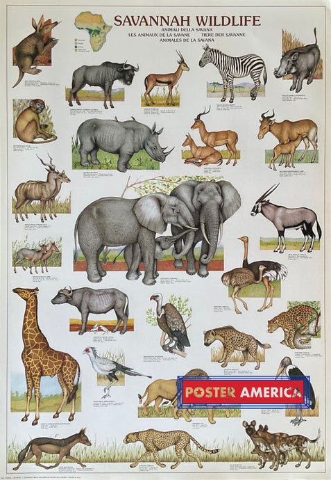 Savannah Wildlife Vintage Hobby Poster 27 X 39 Posters Prints & Visual Artwork