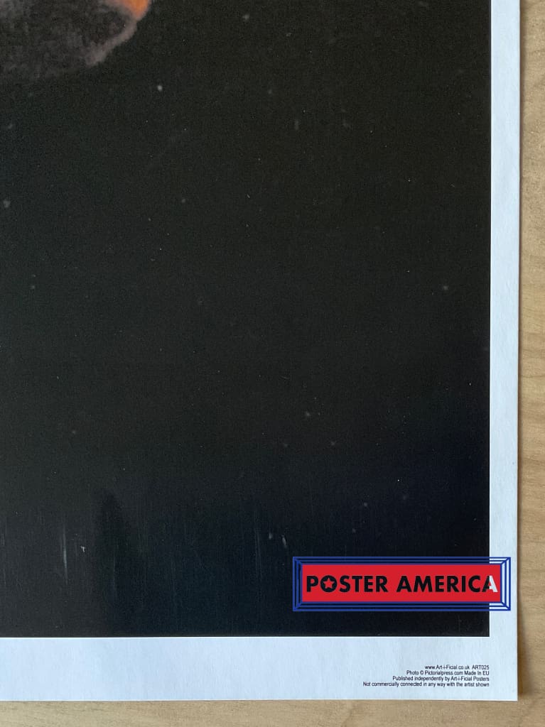 Load image into Gallery viewer, Sex Pistols Sid Vicious Atlanta 1978 Poster 23.5 X 35 Vintage
