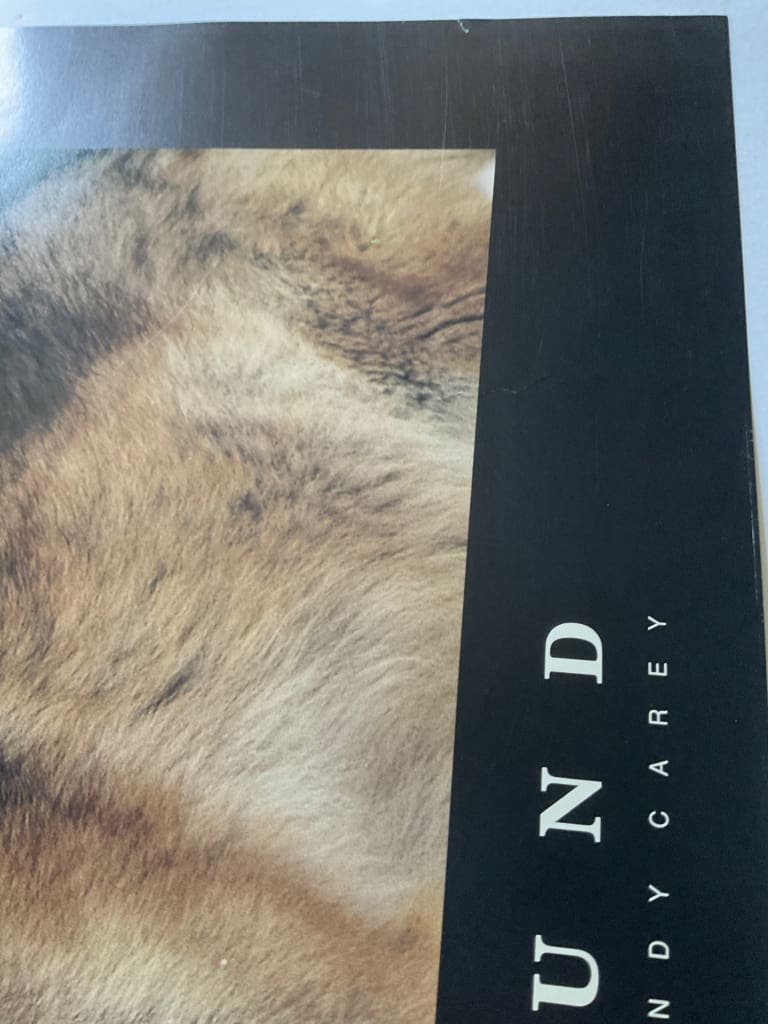 Load image into Gallery viewer, Snowbound Photography Alan &amp; Sandy Carey Vintage 1992 Poster 24 X 32
