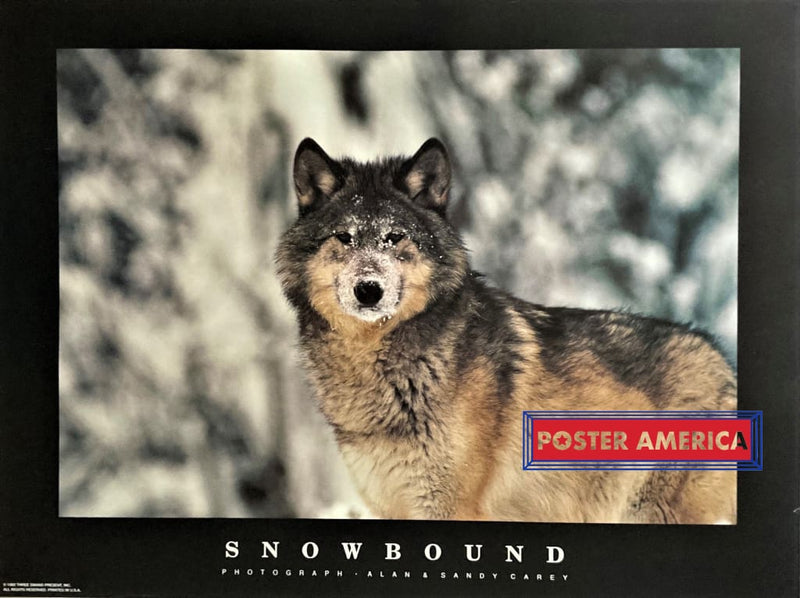 Load image into Gallery viewer, Snowbound Photography Alan &amp; Sandy Carey Vintage 1992 Poster 24 X 32
