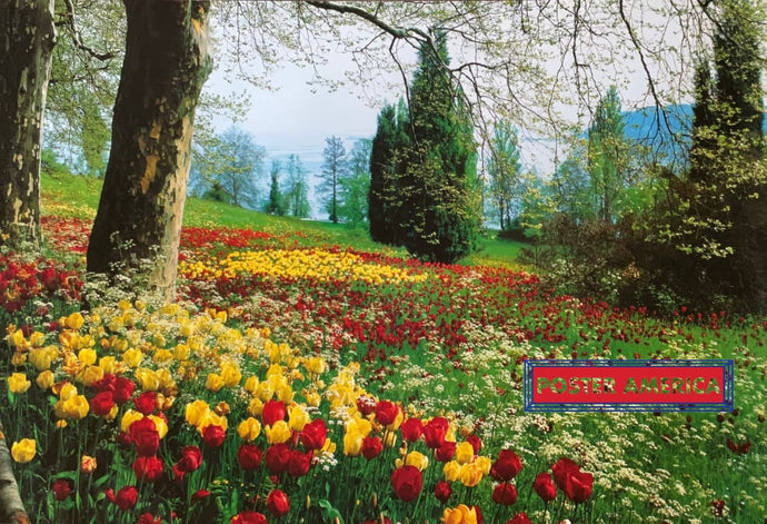 Spring Flowers And Trees Vintage Italian Import Scenic Poster 24 X 35 Vintage Poster
