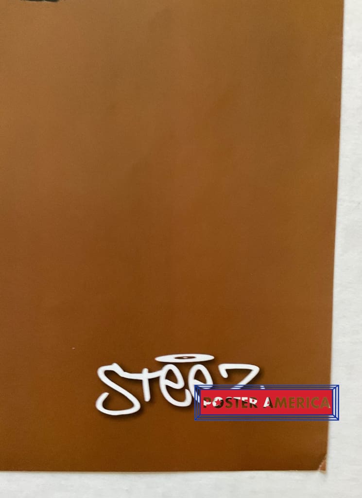 Load image into Gallery viewer, Steez Music Dj Set Artwork 24 X 36 Poster
