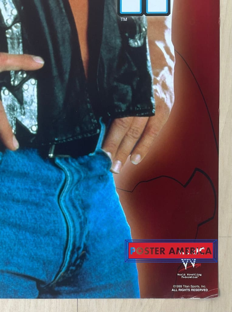 Load image into Gallery viewer, Stone Cold Steve Austin Hell Yeah Vintage Poster 24 X 36 Posters Prints &amp; Visual Artwork
