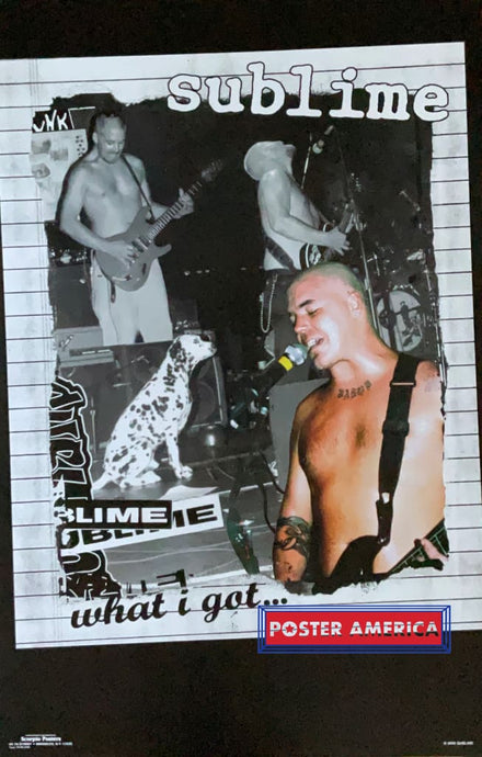 Sublime What I Got Vintage 2000 Poster 22.5 X 34.5 Vintage Poster
