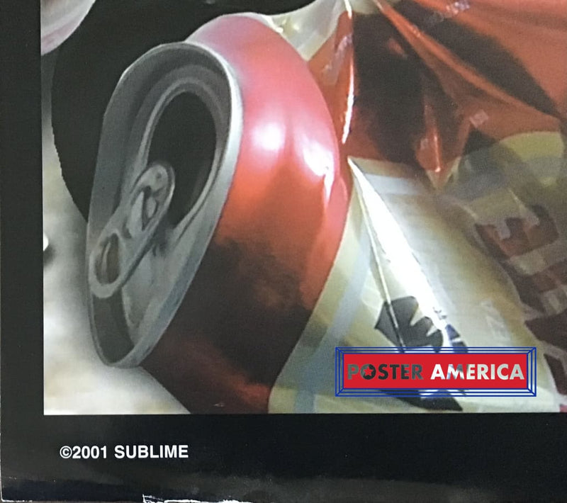 Load image into Gallery viewer, Sublimes Brad Nowell Crazy Fool 2001 Poster 22.5 X 34.5

