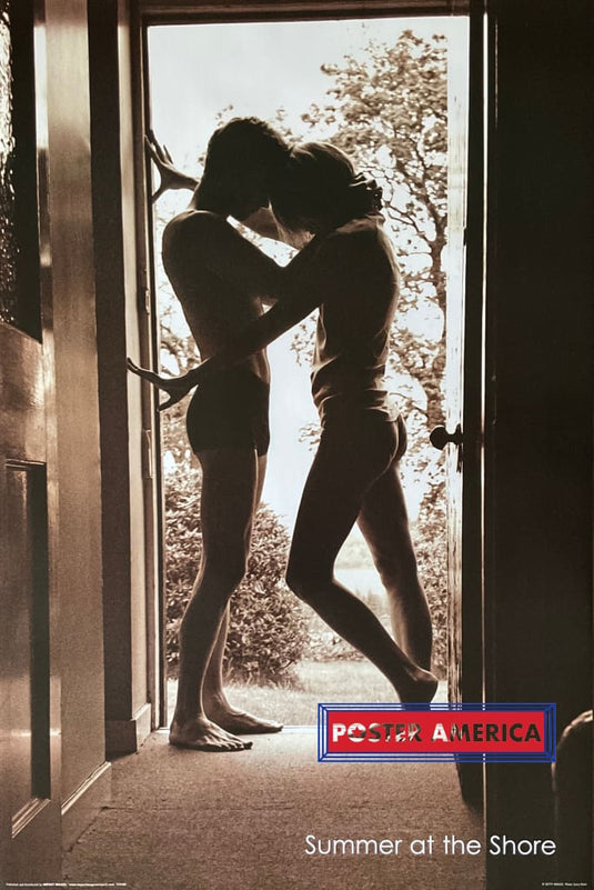 Summer at the Shore Romance Poster 24 x 36 - Poster