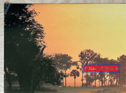 Sunday Drive Vintage Golf Slim Print 12 X 36