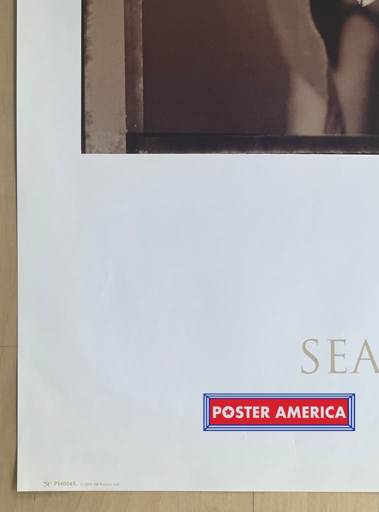 Load image into Gallery viewer, Sunflowers Ii By Sean Hoyland Vintage Uk Import Poster 23 X 35
