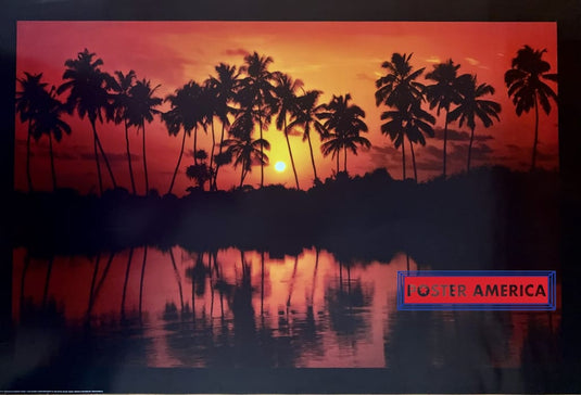 Sunset Palms Horizontal Black Border Vintage Poster 2006 24 X 35.5 With Many And Water