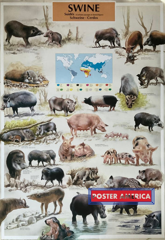 Swine Of The World Vintage 1992 Poster 27 X 38.5