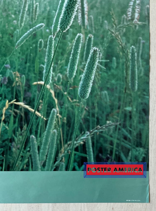 Talmud Every Blade Of Grass Inspirational Quote Poster 24 X 35.5