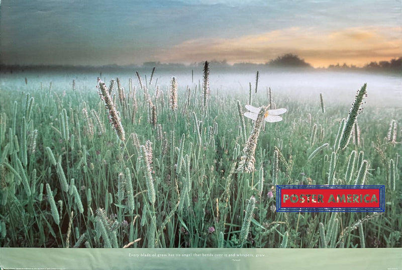 Load image into Gallery viewer, Talmud Every Blade Of Grass Inspirational Quote Poster 24 X 35.5
