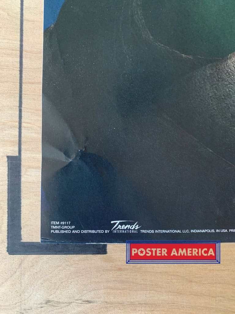 Load image into Gallery viewer, Teenage Mutant Ninja Turtles 2007 Poster 22.5 X 34
