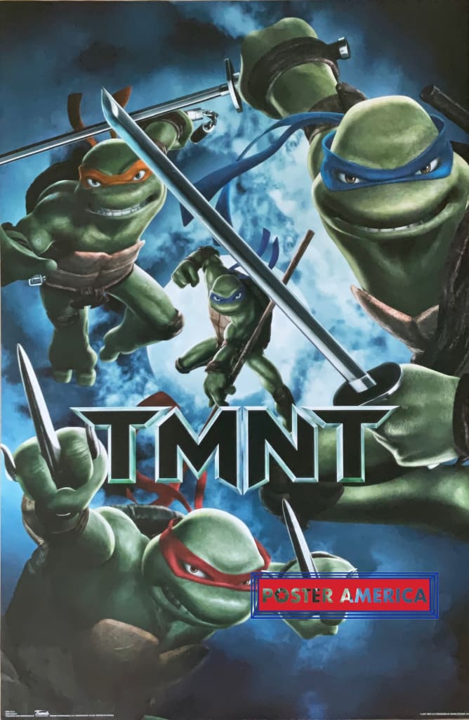 Load image into Gallery viewer, Teenage Mutant Ninja Turtles 2007 Poster 22.5 X 34
