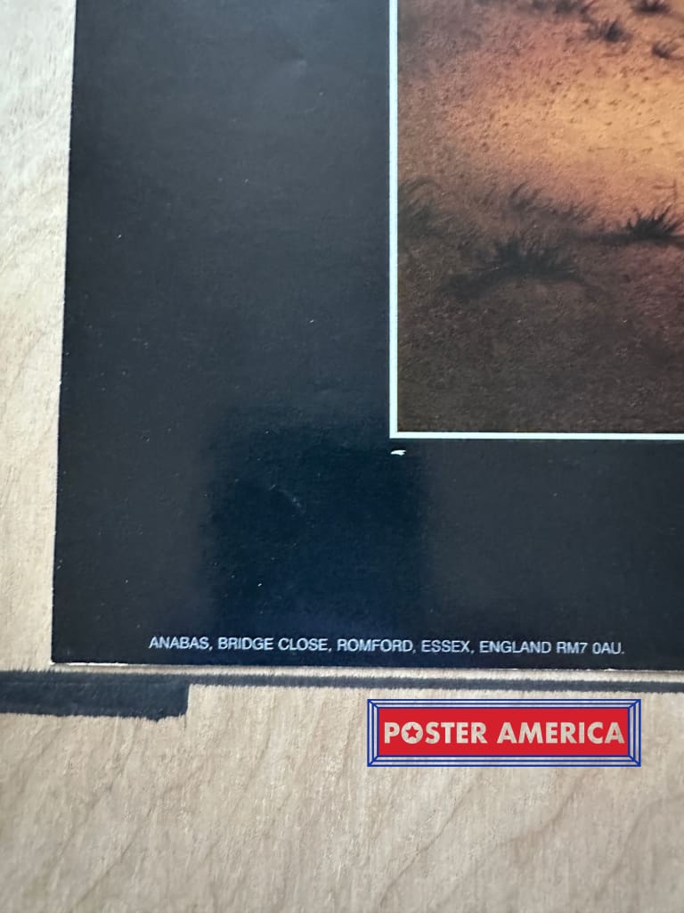 Load image into Gallery viewer, Terrestrial Voyager Fantasy Artwork By Rodney Mathews Vintage Poster 24.5 X 35 Vintage Poster
