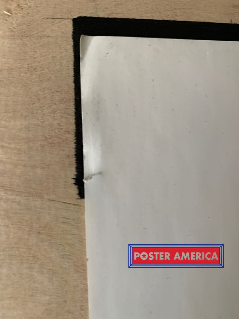 Load image into Gallery viewer, The Beatles White Album Cover 2008 Poster 24 X 36
