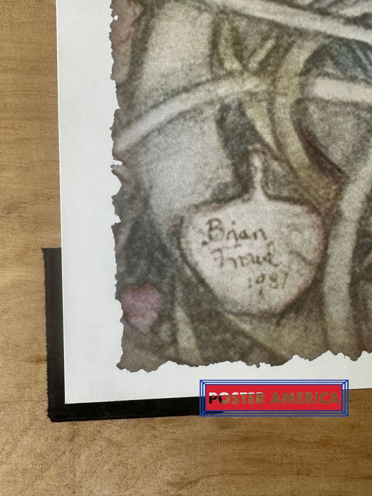 The Dark Crystal By Brian Froud Fairy Artwork Poster 24 X 36
