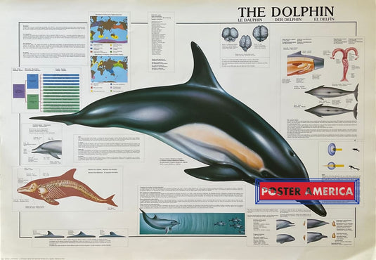 The Dolphin Vintage Hobby Poster 27 X 39 Posters Prints & Visual Artwork