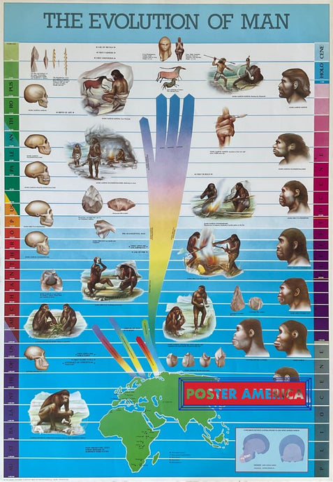 The Evolution Of Man Vintage Hobby Poster 27 X 39 Posters Prints & Visual Artwork